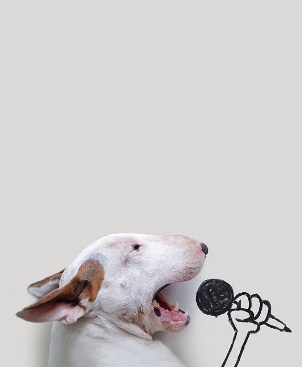 A fost părăsit de soție chiar de ziua lui, dar la scurt timp a ajuns celebru. „Am fost inspirat de pereții goi ai casei” 519783