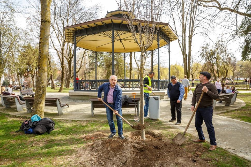 Emil Boc a fost surprins lucrând cu muncitorii din oraș. Primarul Clujului a plantat copaci într-un parc 519645