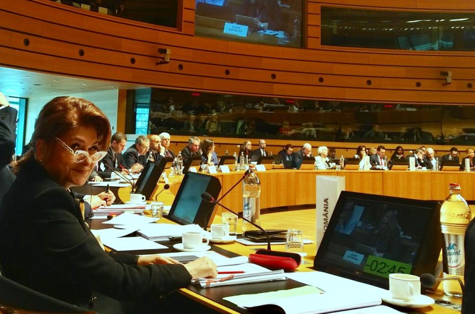 Ministrul Rovana Plumb, la Consiliul Ministerial pentru Coeziune: România susține ferm menținerea unui buget semnificativ pentru politica de coeziune post-2020 520951