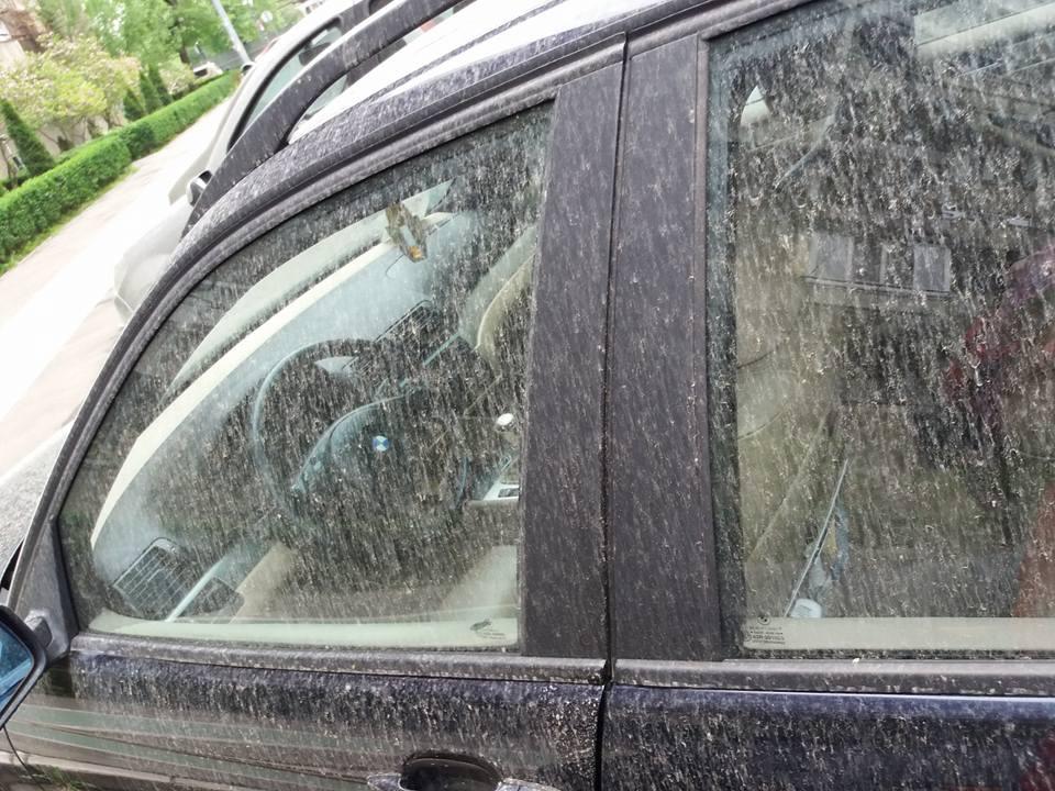 Fenomen extrem la Timişoara: A plouat cu noroi - FOTO 521703