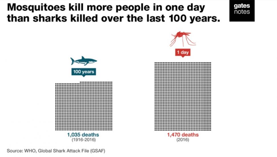 Creatura care omoară într-o zi mai mulți oameni decât au ucis rechinii într-o sută de ani. E probabil și la tine în casă 523599