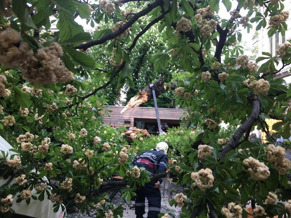 Incident în Capitală. Un copac s-a rupt și a căzut pe terasa unei cafenele  524035