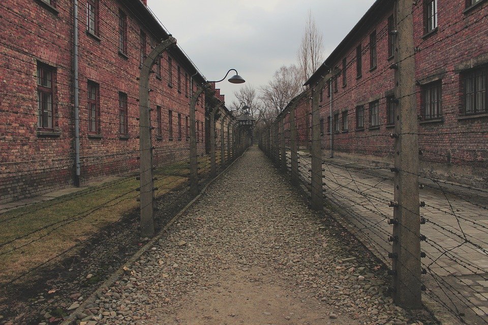 Unul dintre cele mai mari mistere ale unei evadări din timpul Holocaustului a fost dezlegat. Planul incredibil pus la cale de prizonieri