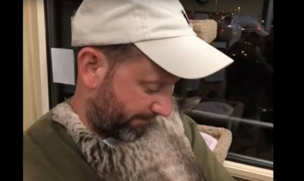 A așteptat mult timp într-un adăpost să fie adoptată, dar în ziua în care și-a întâlnit omul, pisica a făcut un gest emoționant. Toată lumea a plâns (VIDEO)