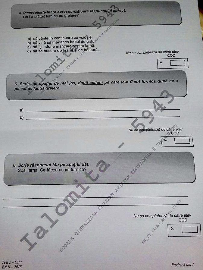 Subiecte Evaluarea de la clasa a II-a, 2018. Iată ce subiecte au căzut la Limba romană - Citit - varianta 2 525771