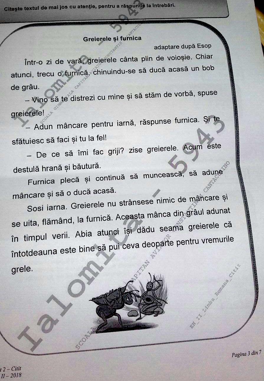 Subiecte Evaluarea de la clasa a II-a, 2018. Iată ce subiecte au căzut la Limba romană - Citit - varianta 2 525773