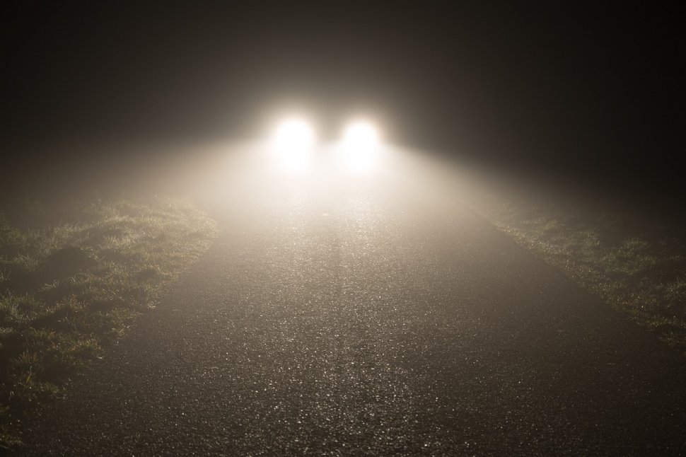 Conducea mașina noaptea târziu pe un drum de munte. La un moment dat, în lumina farurilor a apărut un câine. Când a coborât din mașină și-a pus mâinile în cap și a început să țipe