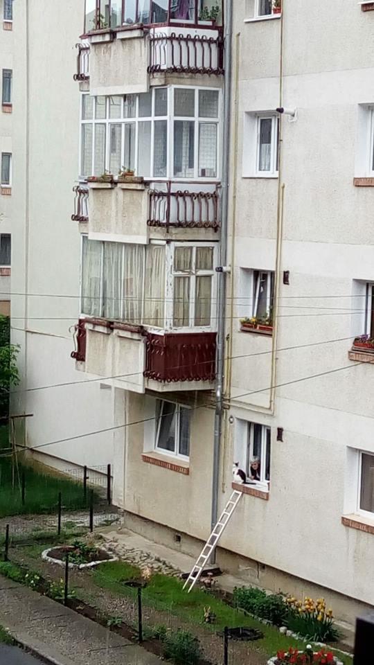 Imagine incredibilă surprinsă în Sinaia. Ce s-a văzut la parterul unui bloc (FOTO) 529275