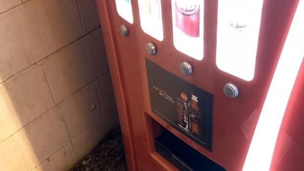  "Mă apropiam de un automat să-mi iau o sticlă de apă, când am văzut două picioare păroase ieșind de sub el. Am crezut că leșin". Ce era acolo de fapt 530826