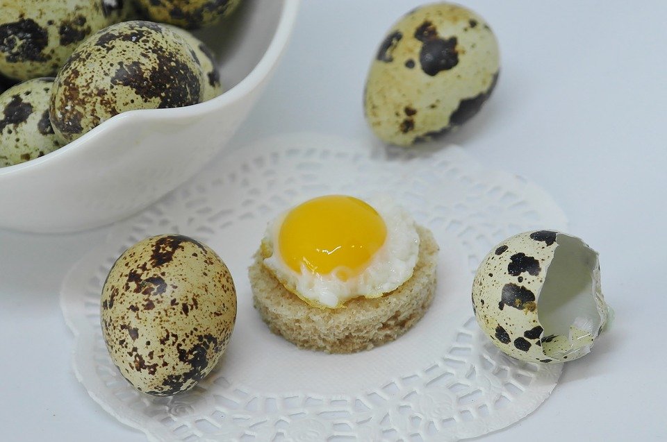 Ce conțin de fapt ouăle de prepeliță din magazine