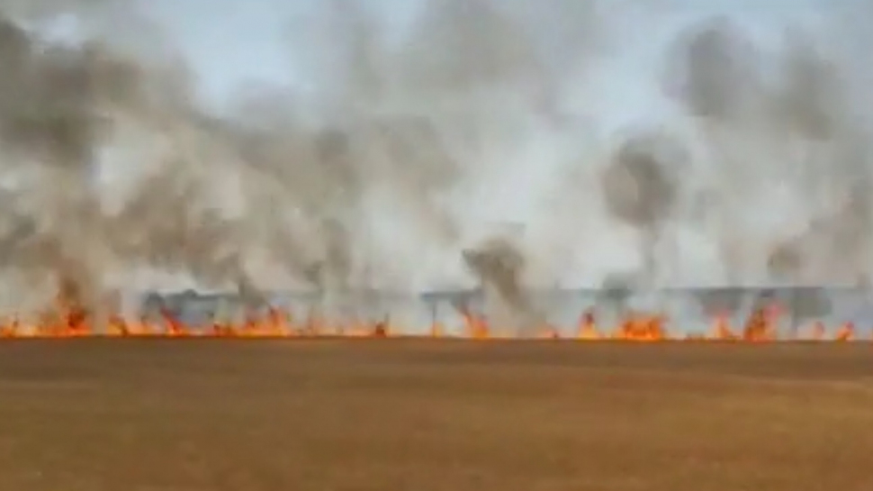 Incendiu puternic în judeţul Prahova. Flăcările au cuprins patru hectare de grâu