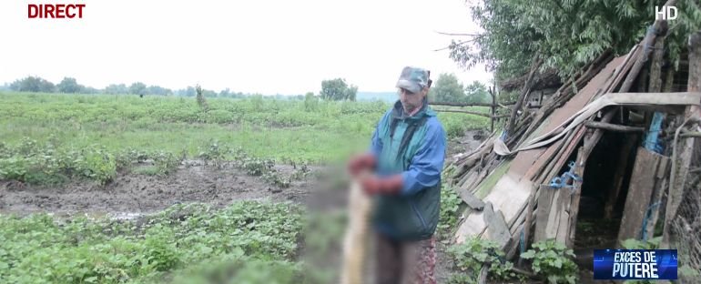 Alertă în vestul României! Focar de pesta porcină în Bihor