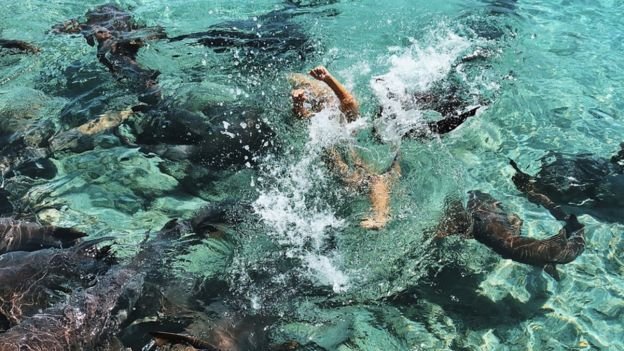 O tânără, atacată de rechini în timpul unei ședințe foto. „Eram sub apă şi am simţit un val de adrenalină”. Cum a reuşit să scape - FOTO