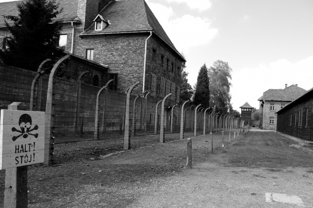 Doi turişti din Ungaria au încercat să fure cărămizi de la Auschwitz. Ce pedeapsă au primit