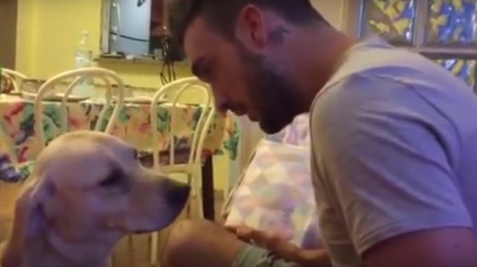 Își certa câinele pentru că făcuse o boacănă. Animalul s-a apropiat de stăpân și a refuzat să-l privească în ochi. Ce a urmat a înduioșat internetul (VIDEO)