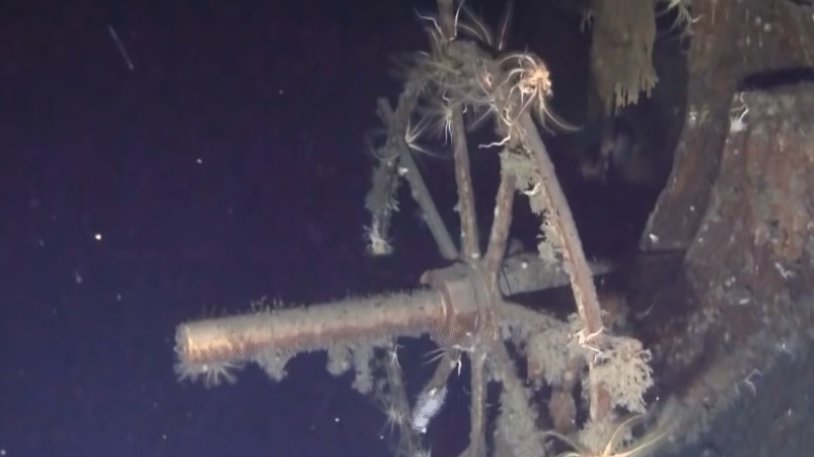 A fost găsită epava unei nave ruseşti, cu 200 de tone de aur la bord - VIDEO
