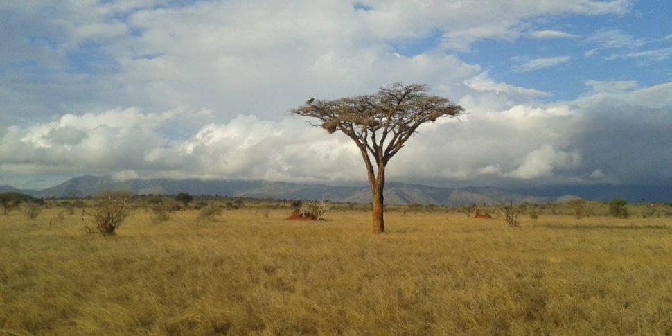 O călătoare singură prin Kenya
