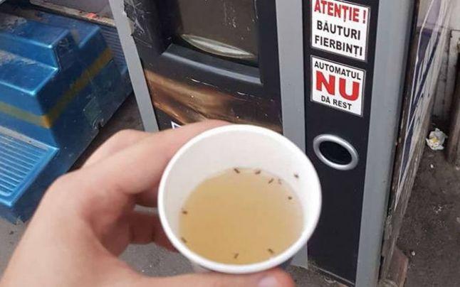 Și-a cumpărat o cafea de la un automat. S-a îngrozit când a văzut ce era în pahar - FOTO în articol 541706