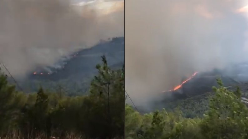 Un grec a prezis că va muri în incendiile devastatoare. „Mulți oameni vor arde de vii” - VIDEO