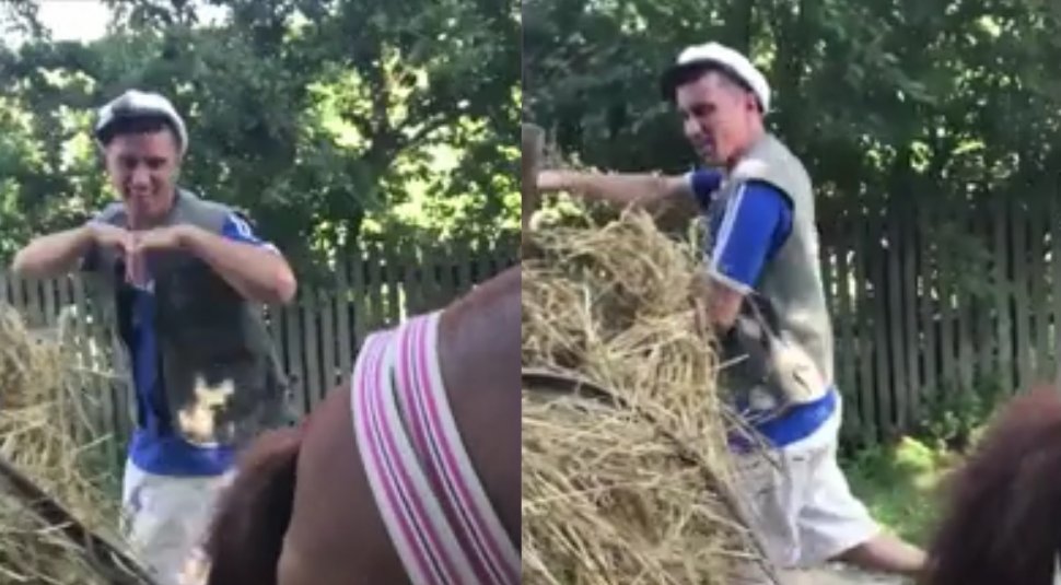 A apărut varianta românească, ''Kiki challenge''. Un sătean dansează alături de calul său - VIDEO