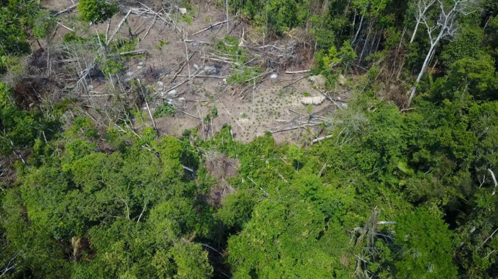 VIDEO. Un trib necunoscut din Amazon, filmat din dronă