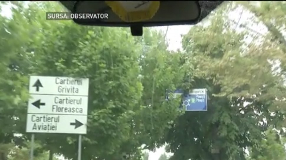 Indicatoarele şi semafoarele din Bucureşti, ascunse printre copaci - VIDEO