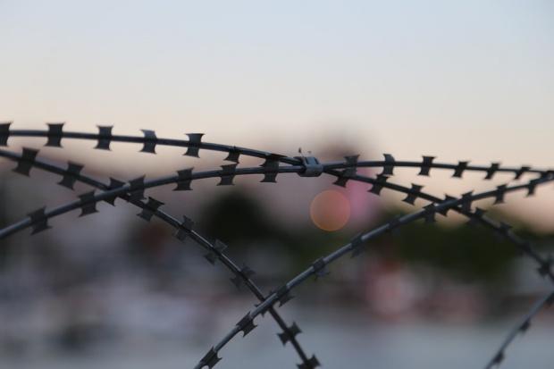 Speriați de pesta porcină, bulgarii au construit un gard de sârmă ghimpată de 133 km la granița cu România