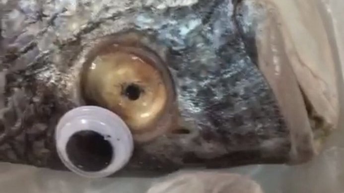 Un magazin alimentar vinde pești cu ochi de plastic. Motivul este absolut incredibil
