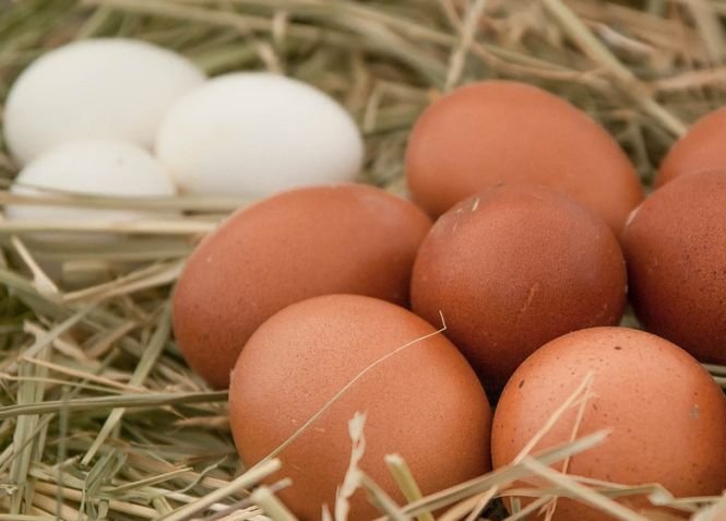 Ouă cu coaja albă sau maronie? Experţii spun care e diferenţa