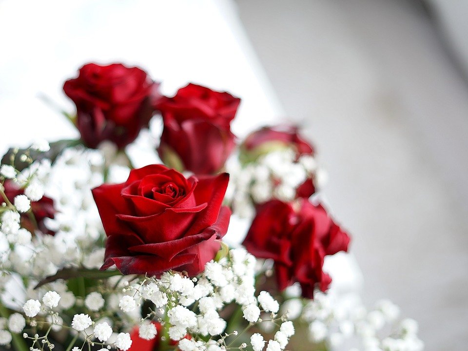 Ofera-i buchete de trandafiri care s-o reprezinte! Culoarea florilor face diferenta (P)