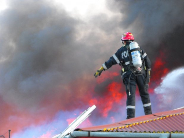 Incendiu de amploare la o fermă de porci din județul Brăila. Peste 1.700 de animale au murit