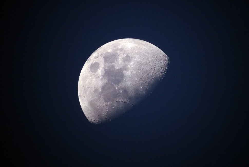 Space X a ales primul turist care va zbura în jurul Lunii