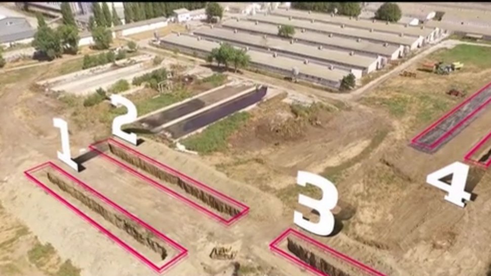 Imagini exclusive cu groapa comună din Dragalina în care ar urma să fie îngropaţi 21.000 de porci 