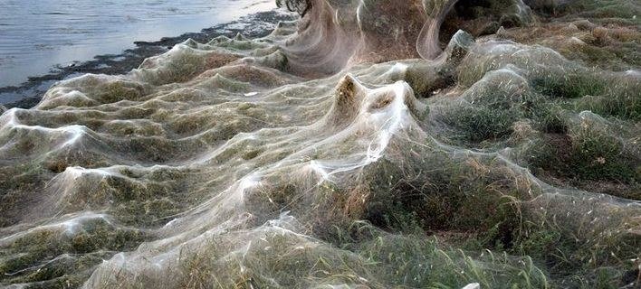 Imagini uluitoare de pe o plajă din Grecia. A fost cuprinsă de o pânză de păianjen uriașă, de sute de metri 