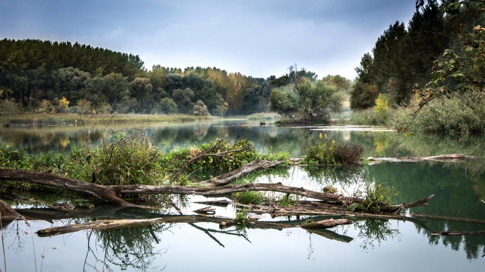 Un tânăr a murit în Delta Dunării