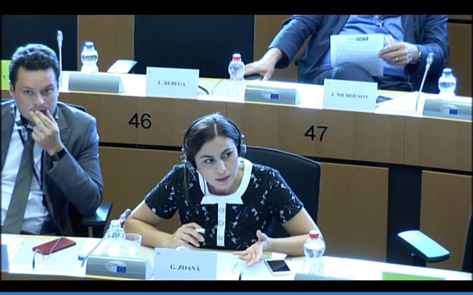 Gabriela Zoană, în Comisia LIBE: Sunt îngrozită că anumiți români își denigrează absolut gratuit propria țară