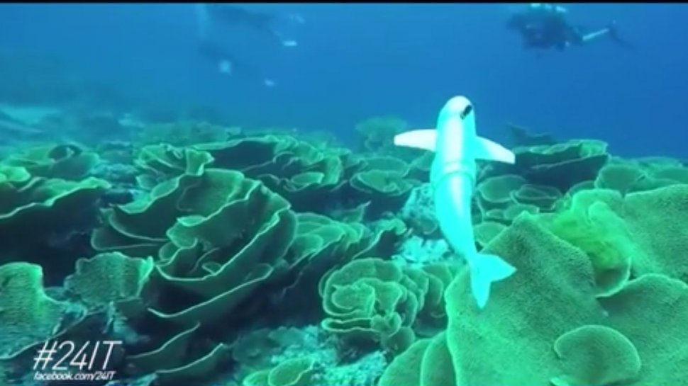 24 IT. SoFi, drona subacvatică sub formă de pește