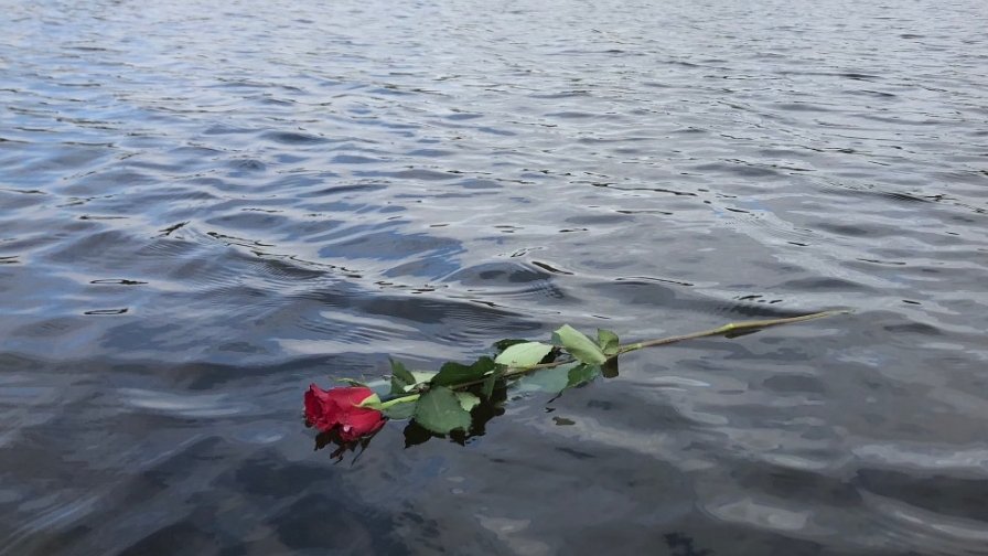 Se plimba pe malul unui lac în momentul în care a găsit o scrisoare și un trandafir. Când a citit, a izbucnit în lacrimi. „Nu a fost lăsat niciun nume şi niciun număr de telefon”