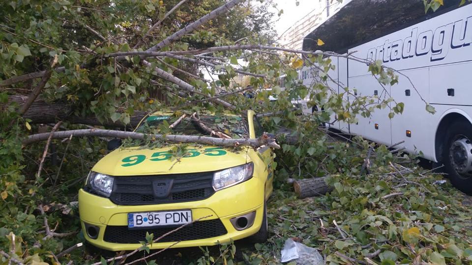 Accident grav în sectorul 5 al Capitalei. Un copac a căzut peste un om. Bărbatul e inconștient 557312