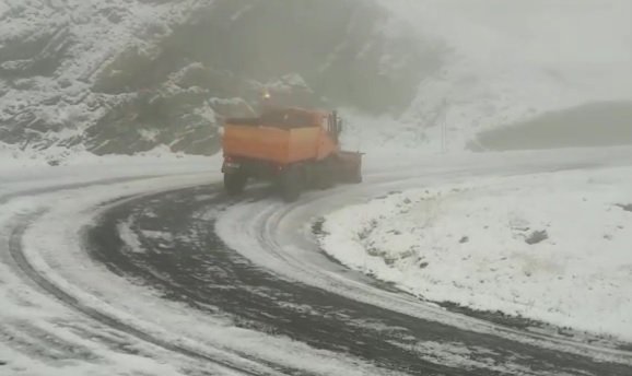 Ninge pe Transfăgărășan VIDEO
