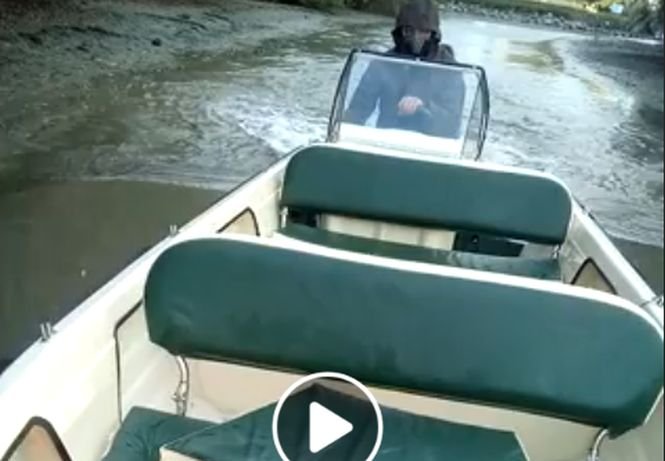 Situaţie alarmantă în Delta Dunării după ce nivelul apei a scăzut brusc: „Totul este mort!”