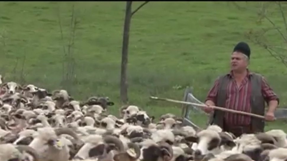 Fermierii, sprijniţi de Partidul Umanist Român