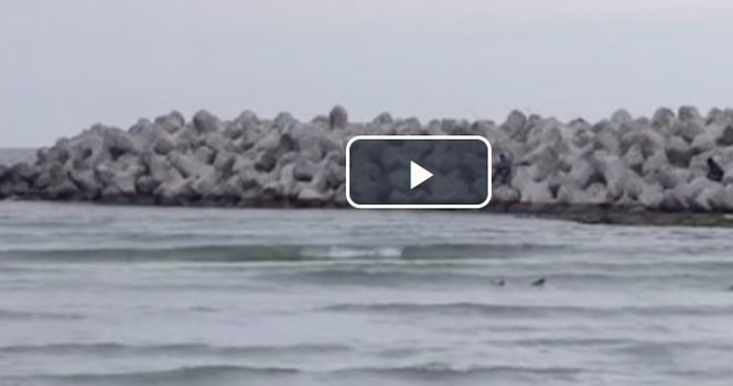 Situaţie îngrijorătoare pe litoralul românesc! Imagini dezolante - VIDEO