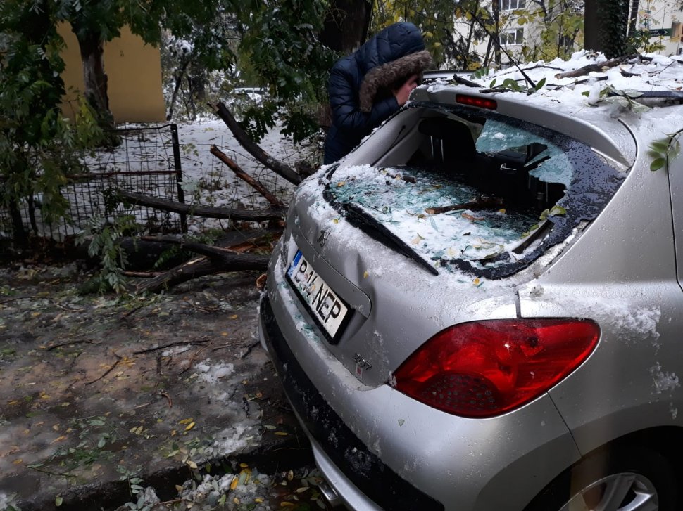Copac căzut peste o mașină în zona cartierului Tei din Capitală, din cauza viscolului