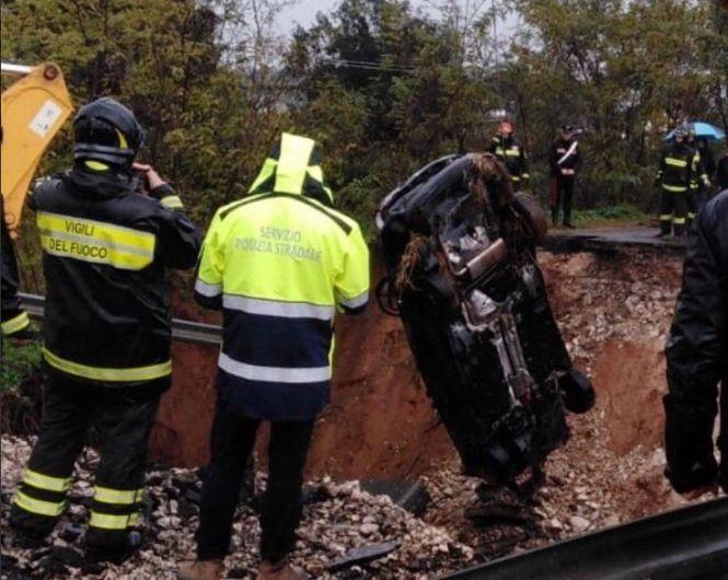 Apariție șocantă în mijlocul unei șosele. Oamenii s-au dat jos din mașini și au luat-o la fugă. Era uriaș! 563195