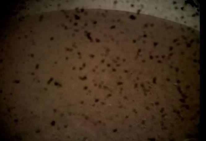 Pas uriaş pentru omenire. Prima imagine trimisă de Sonda InSight de pe Marte 563413