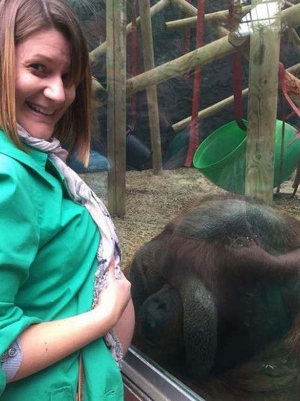 Suferise șase avorturi, dar rămasese din nou însărcinată. Într-o zi, s-a dus la Zoo, iar un urangutan s-a apropiat de ea. Gestul i-a schimbat viața (FOTO)  566856