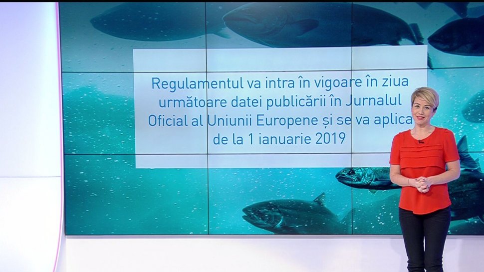 Be EU: Uniunea Europeană impune noi reguli pentru pescuit. Care vor fi limitele de captură în 2019