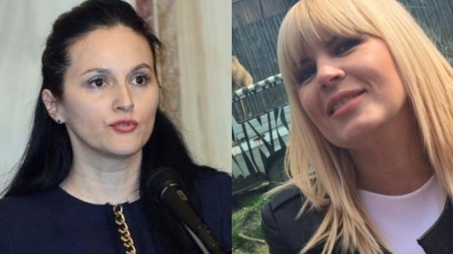 Elena Udrea şi Alina Bica ar putea obţine azil politic în Costa Rica