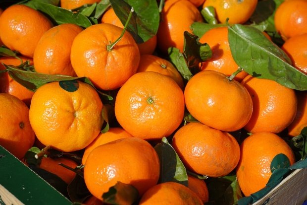 Acesta e secretul clementinelor. Iată de ce e bine să mănânci aceste fructe